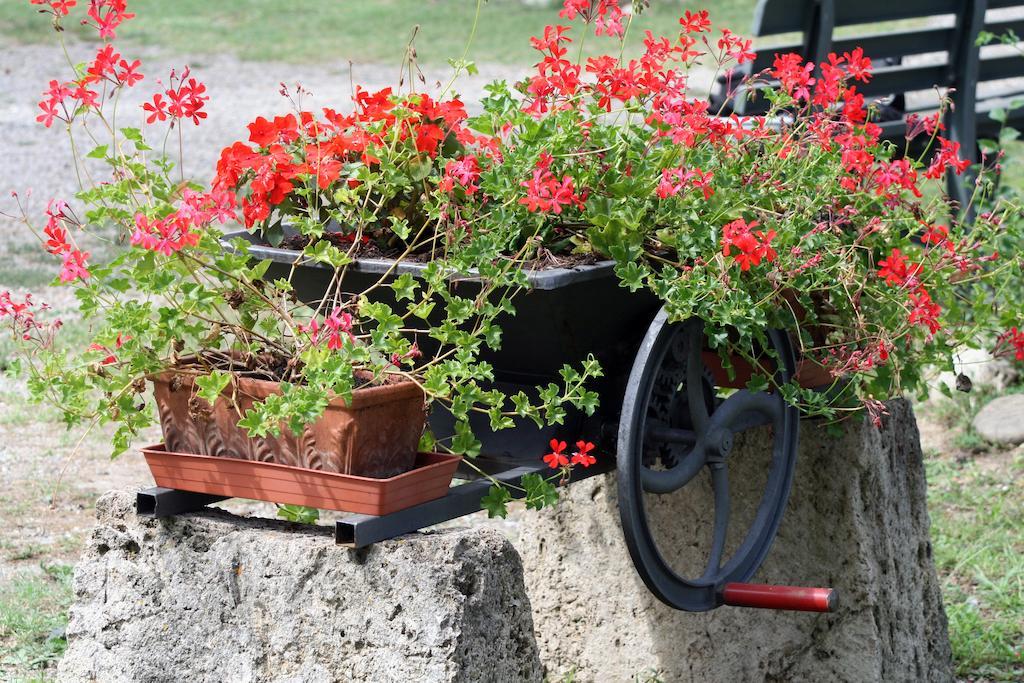 Agriturismo Due Ponti Chianni Ngoại thất bức ảnh